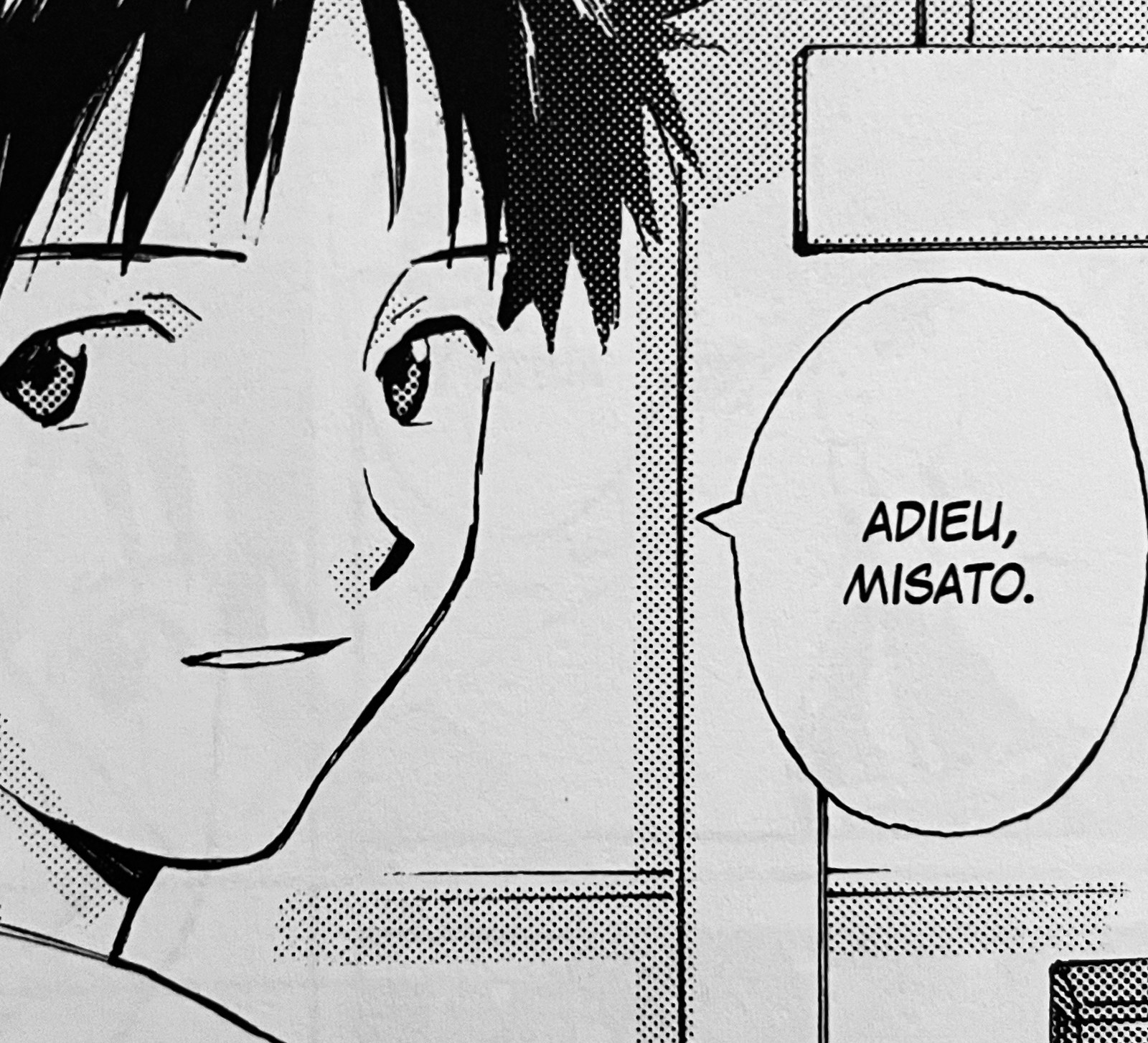 Case Evangelion en version française : Adieu, Misato.